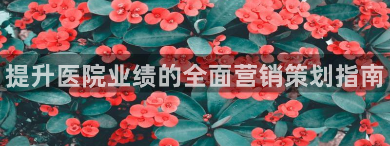 必赢.apk
