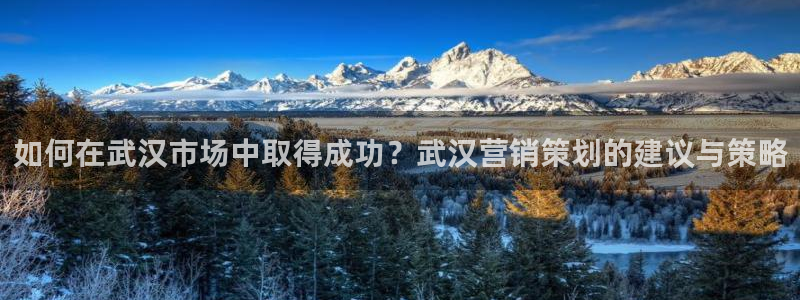 95必赢网址多少