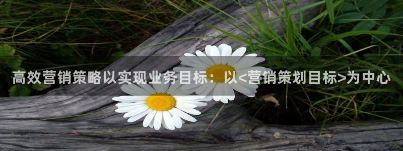 必赢官网入口下载安装