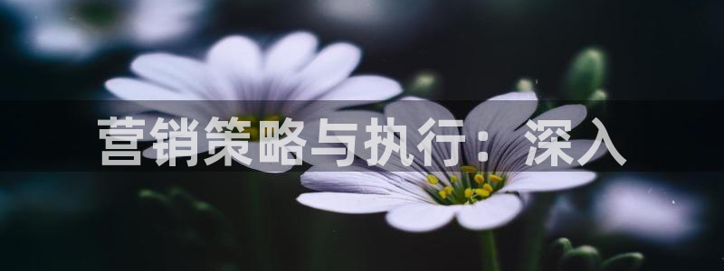 必赢是真的吗
