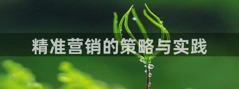 必赢手机app下载抢红包