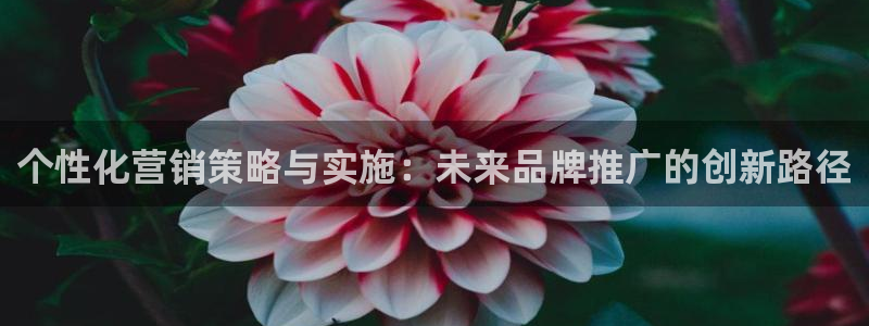 必赢国际游戏技巧