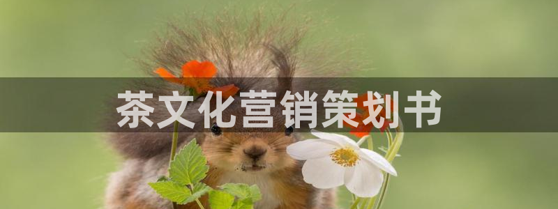 必赢官网网址多少