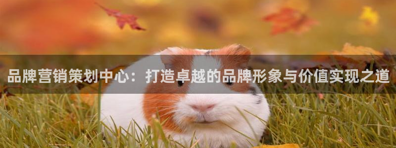 必赢集团网站是什么