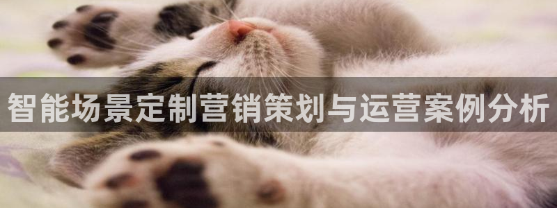 必赢集团网站改成多少