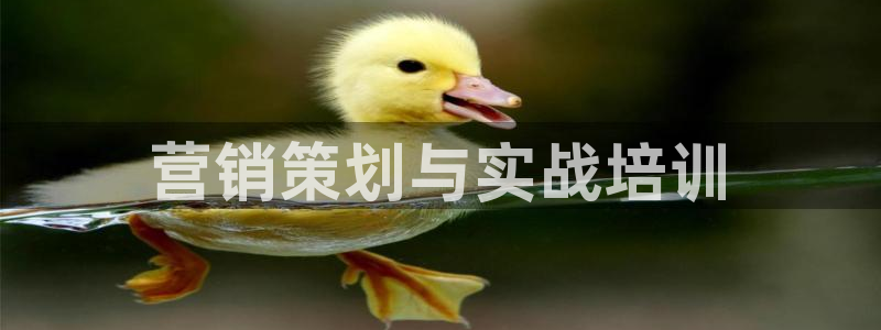 必赢平台官方