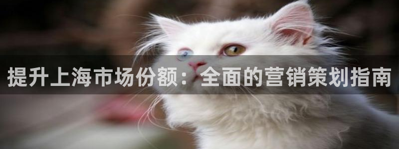 必赢网址手机主页打不开