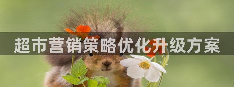 必赢国际437a