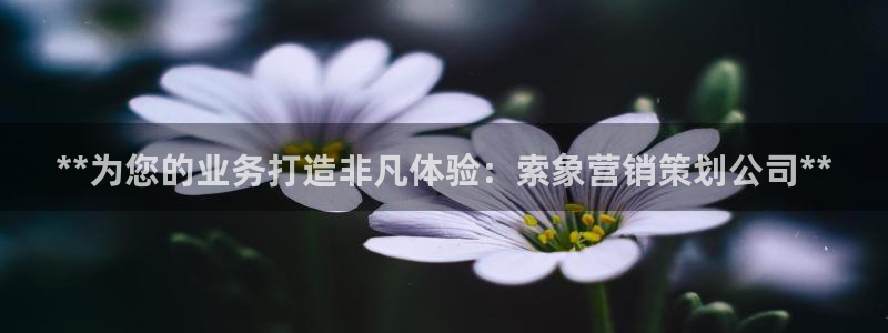 必赢3003手机网页版