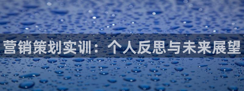 必赢网怎么打不开了呀