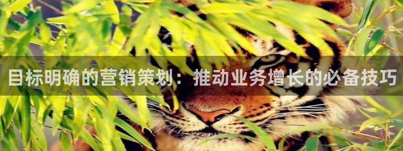 必赢手机app下载 最新版