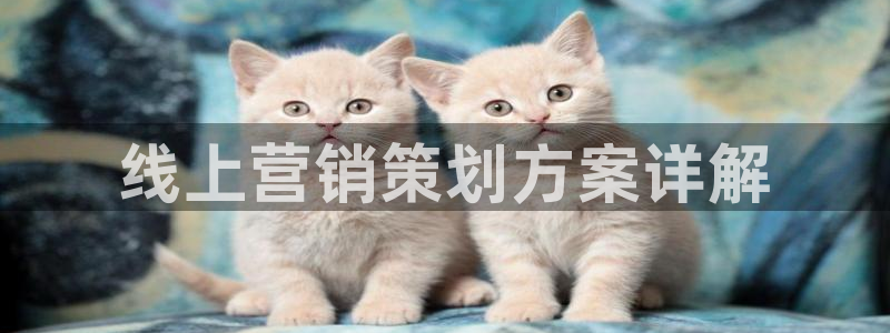 必赢net.95