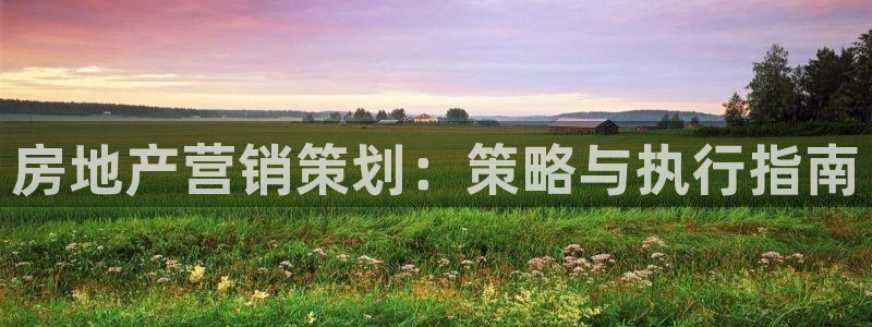 必赢516net怎么进