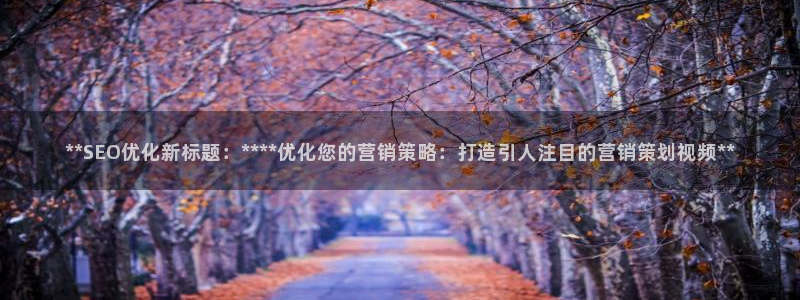 必赢最新
