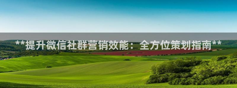 必赢官网入口下载