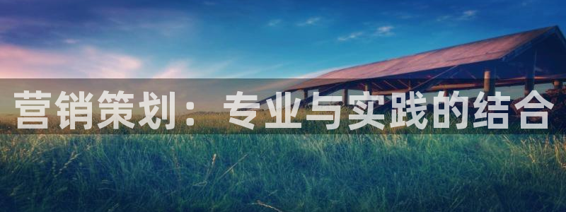 必赢官网网站