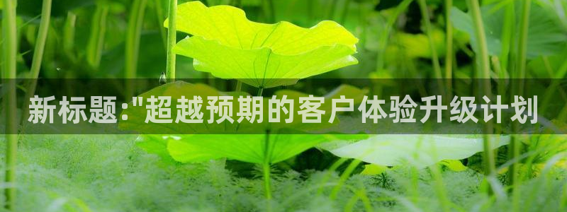 必赢国际a600典ccapp