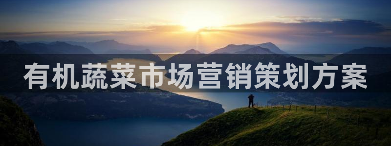 必赢bwinapp