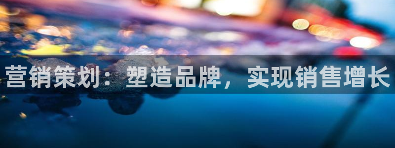 必赢3003网官