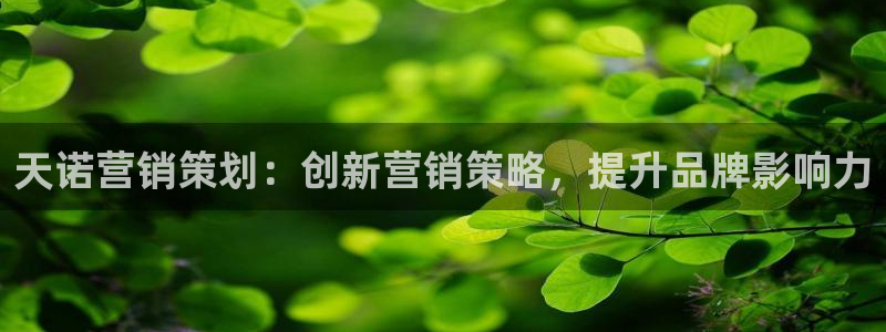 95必赢网址多少