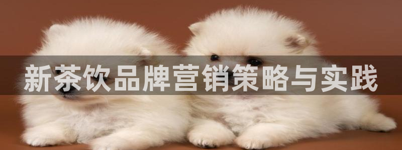 必赢app客户端下载官网手机版