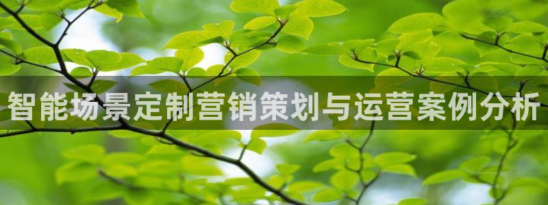 必赢国际437官网版