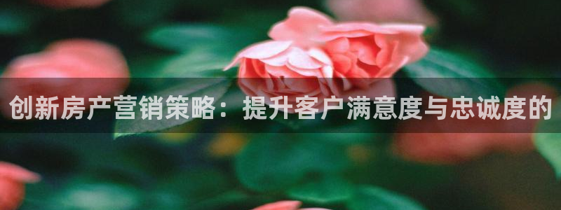 必赢这个软件怎么样