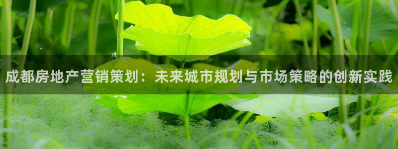 必赢国际儋州社区