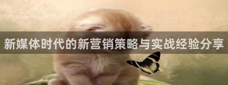 必赢国际437官方简介