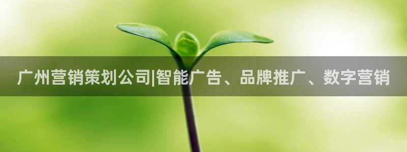必赢网址手机主页