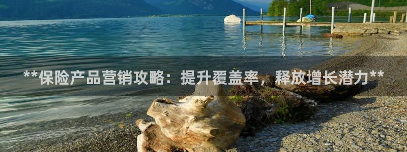 必赢官网网站首页入口