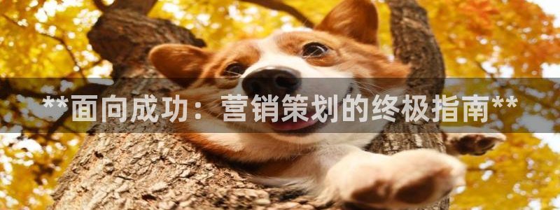 必赢国际437pay,comapp