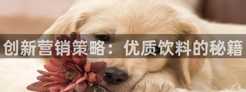 必赢官网app下载安装苹果