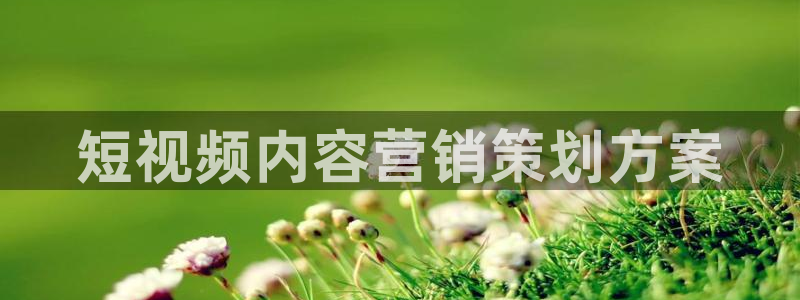 必赢集团怎么样