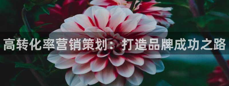 9965必赢游戏特色