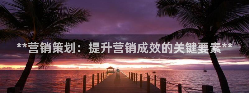 必赢8888