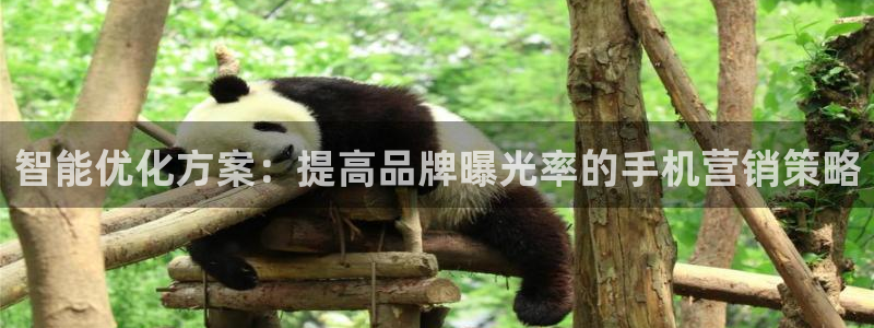 必赢手机app下载安装