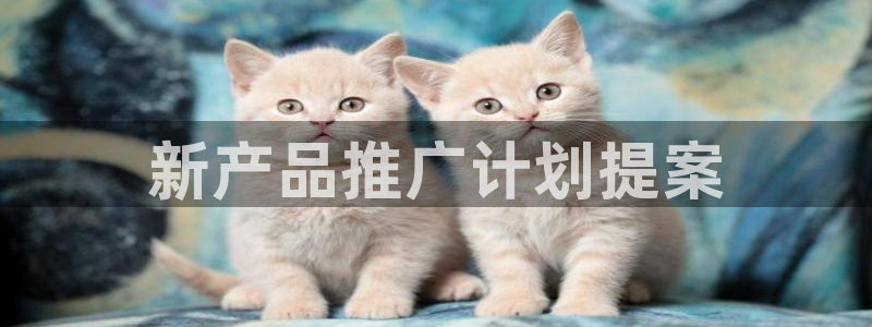 必赢国际游戏技巧