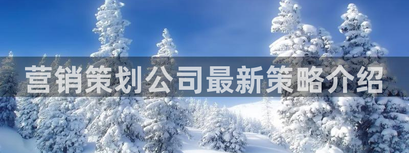 必赢官网app下载