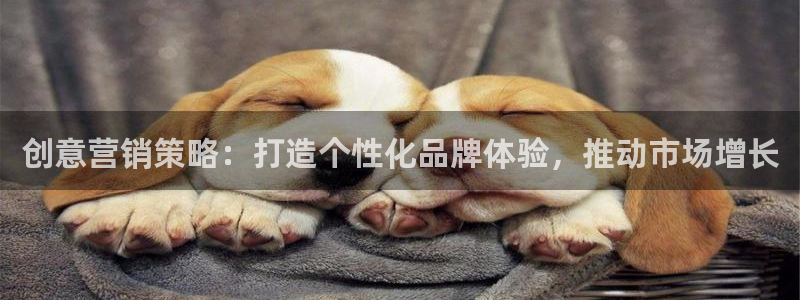 必赢官网app下载苹果