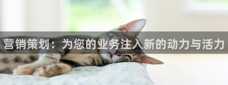 必赢棋盘官网版