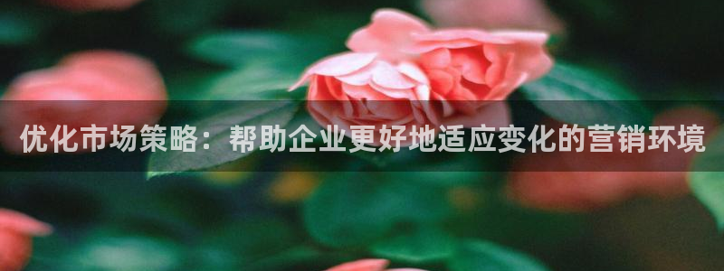 必赢平台怎么样可靠吗