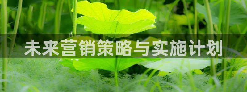 必赢72886是黑网站么
