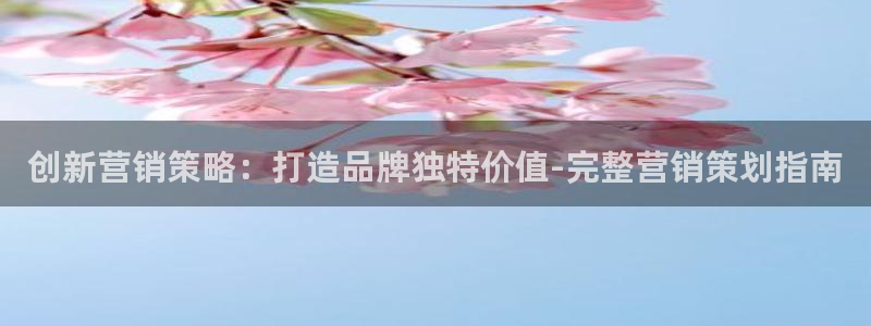必赢3003平台