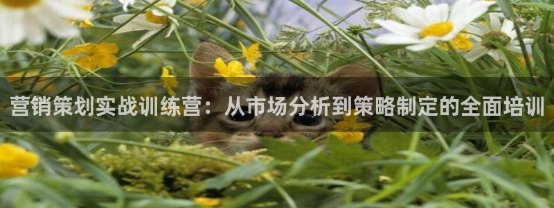 必赢官网app下载安装最新版苹果