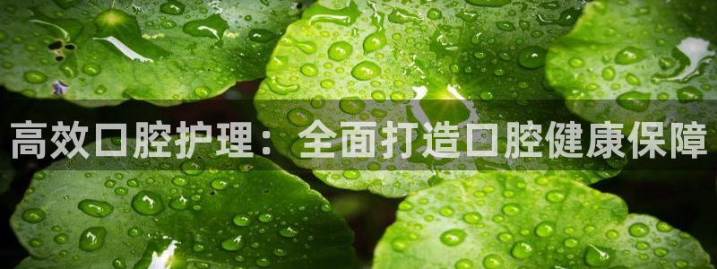 必赢网络游戏平台