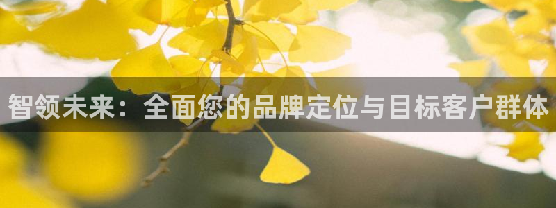 必赢qp