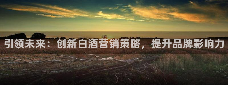 必赢网站打不开