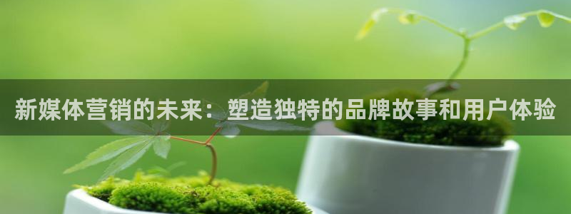 必赢集团怎么样