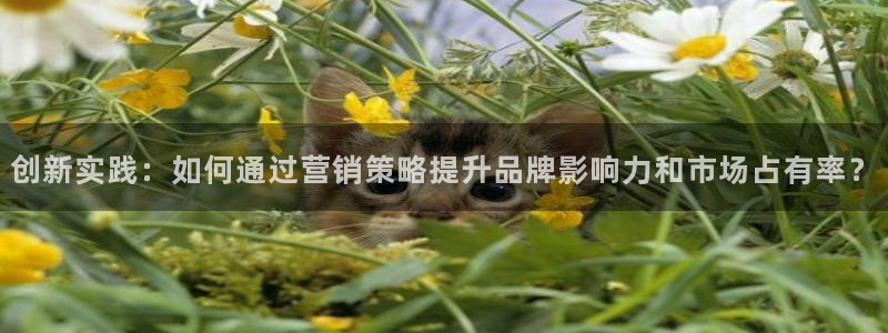 必赢官网入口下载安装